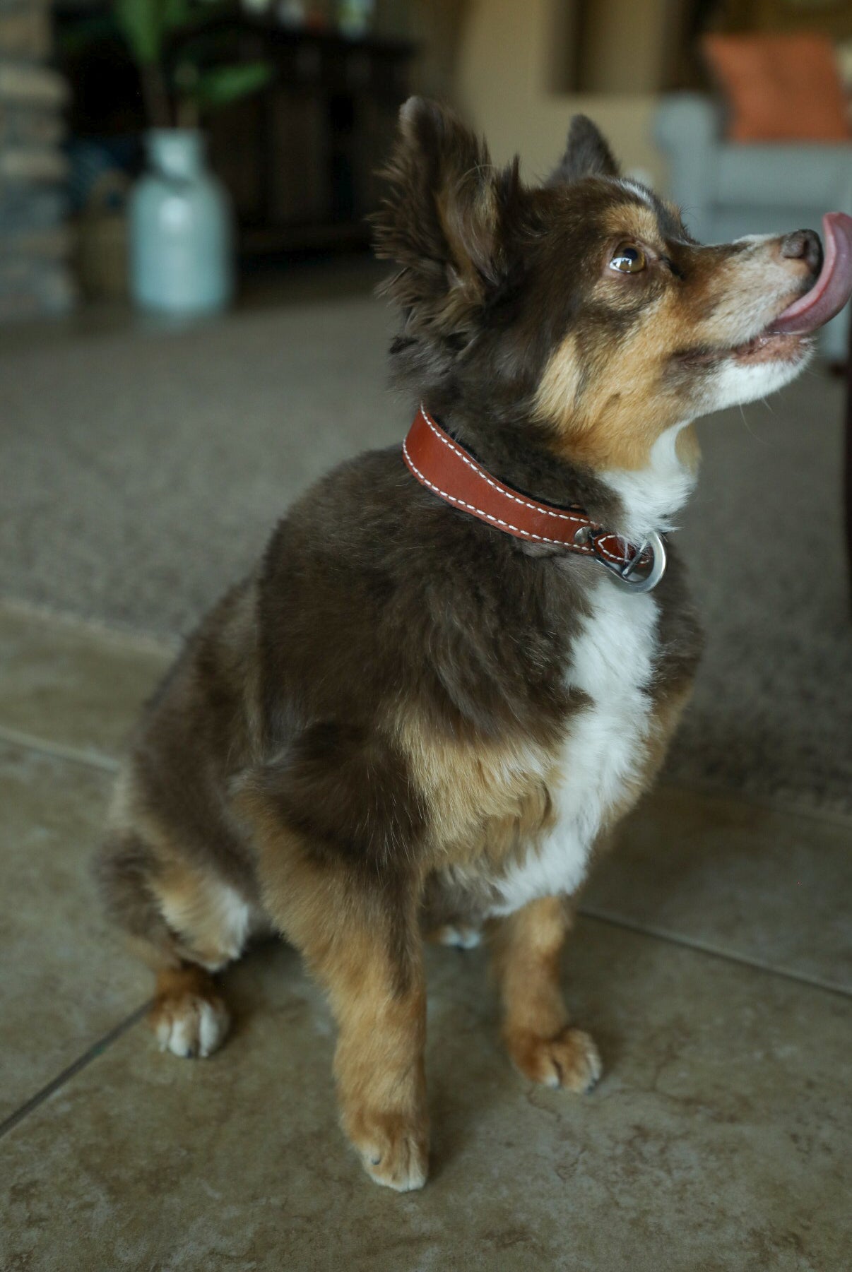 Huck Collar-Accessories-Crooked Horn Company, Online Women's Fashion Boutique in San Tan Valley, Arizona 85140