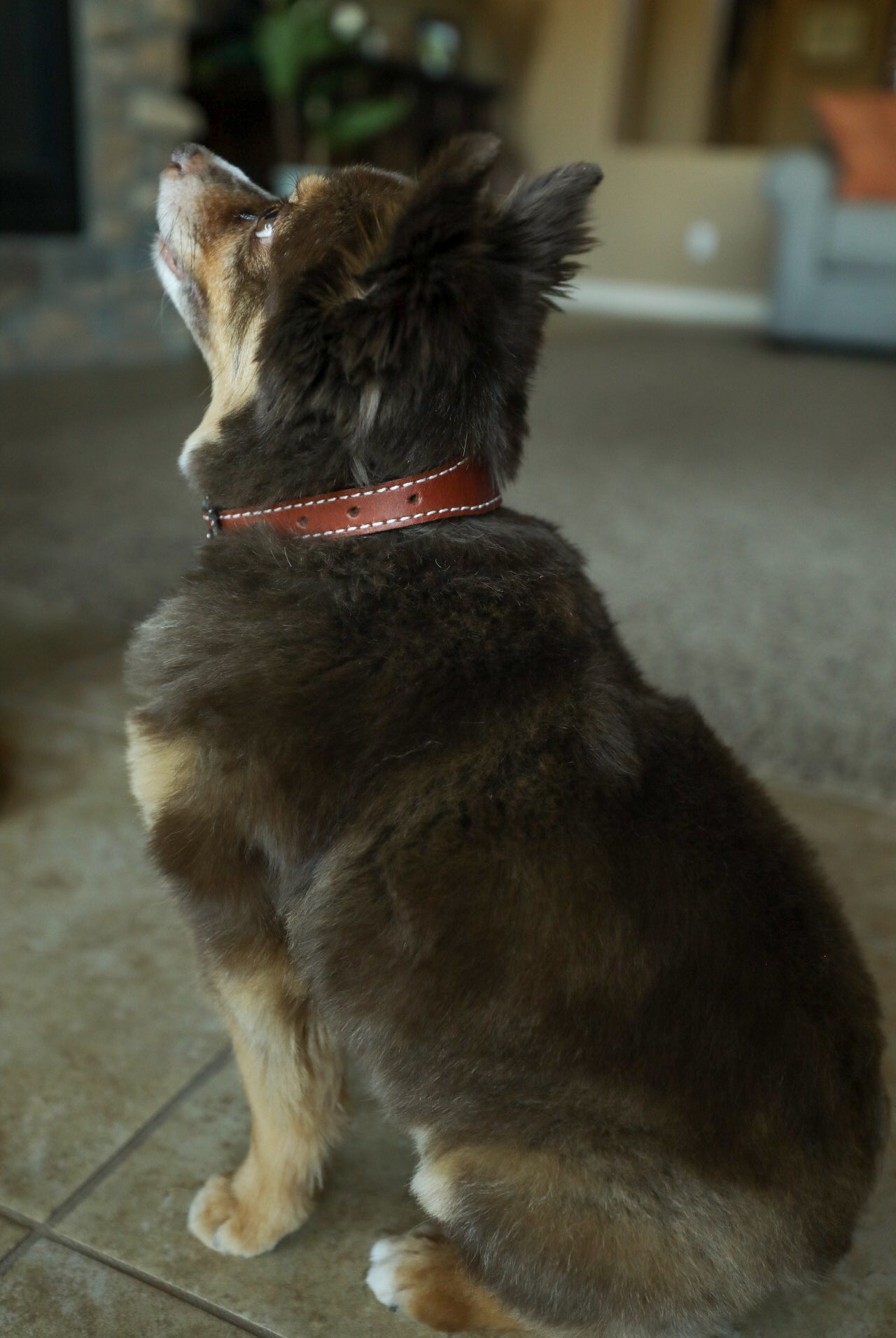 Huck Collar-Accessories-Crooked Horn Company, Online Women's Fashion Boutique in San Tan Valley, Arizona 85140