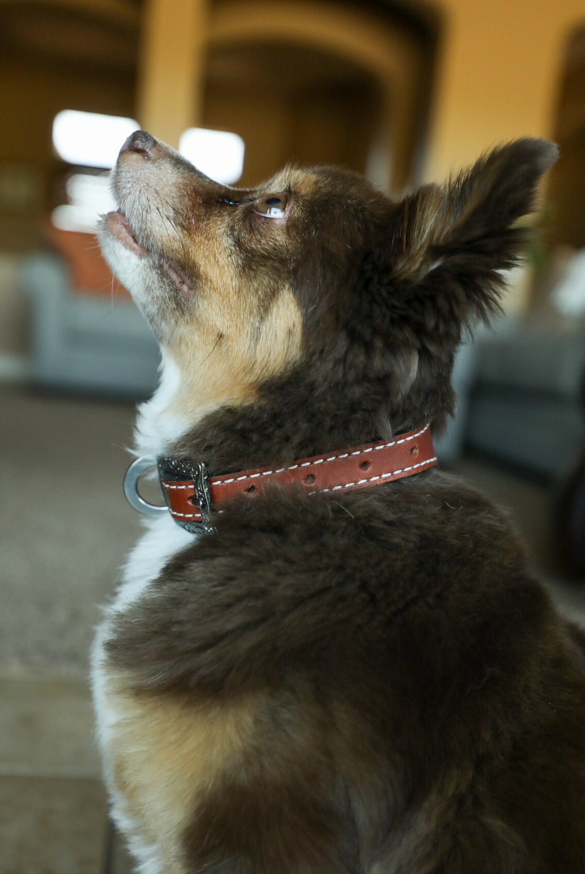 Huck Collar-Accessories-Crooked Horn Company, Online Women's Fashion Boutique in San Tan Valley, Arizona 85140