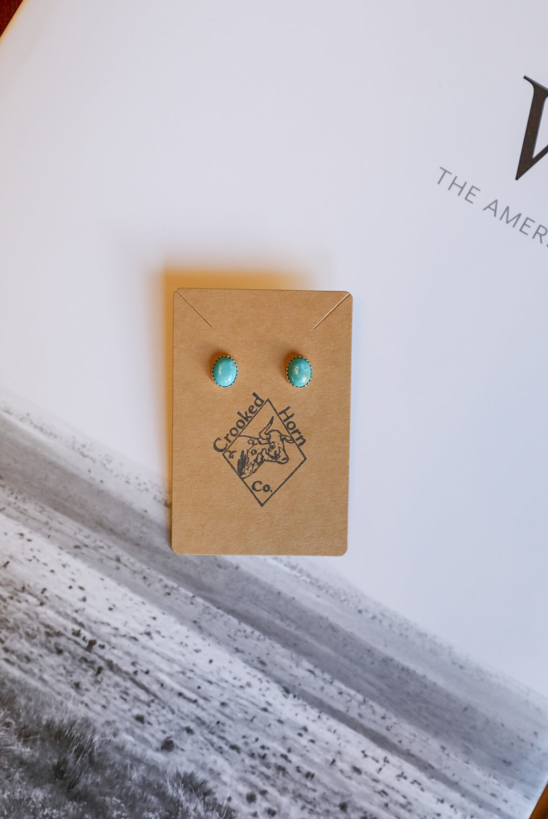Turquoise Stud Earrings-Jewelry-Crooked Horn Company, Online Women's Fashion Boutique in San Tan Valley, Arizona 85140