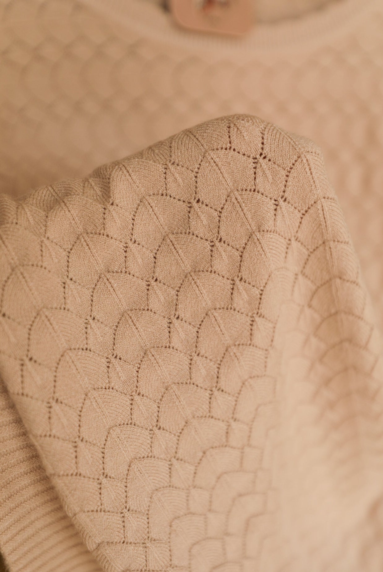 Springfield Top-Shirts-Crooked Horn Company, Online Women's Fashion Boutique in San Tan Valley, Arizona 85140