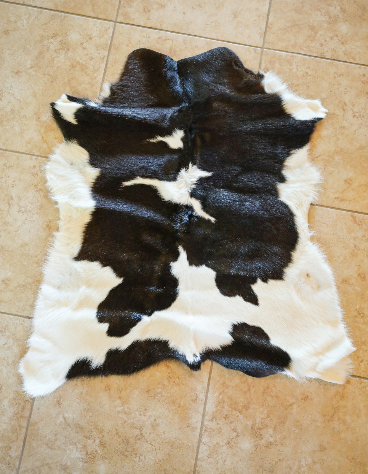 Calf Cowhide-Home Goods-Crooked Horn Company, Online Women's Fashion Boutique in San Tan Valley, Arizona 85140