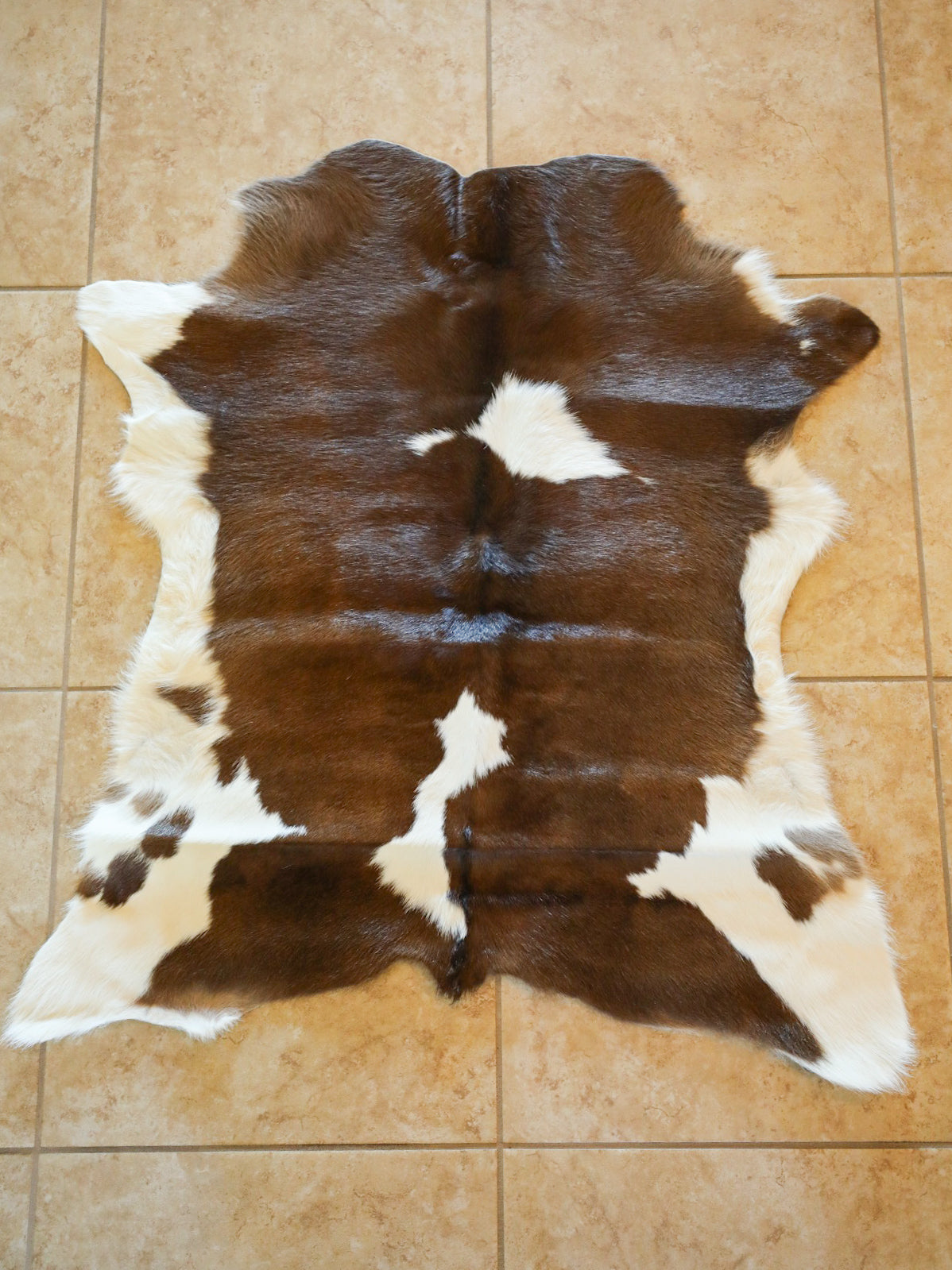 Calf Cowhide-Home Goods-Crooked Horn Company, Online Women's Fashion Boutique in San Tan Valley, Arizona 85140