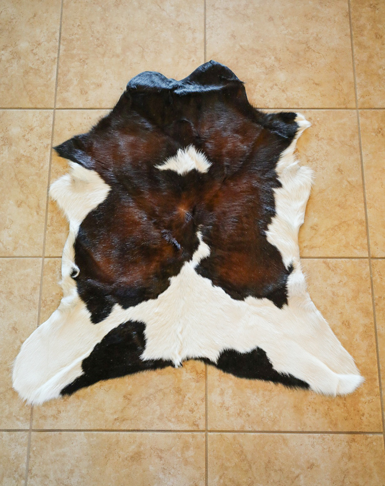 Calf Cowhide-Home Goods-Crooked Horn Company, Online Women's Fashion Boutique in San Tan Valley, Arizona 85140