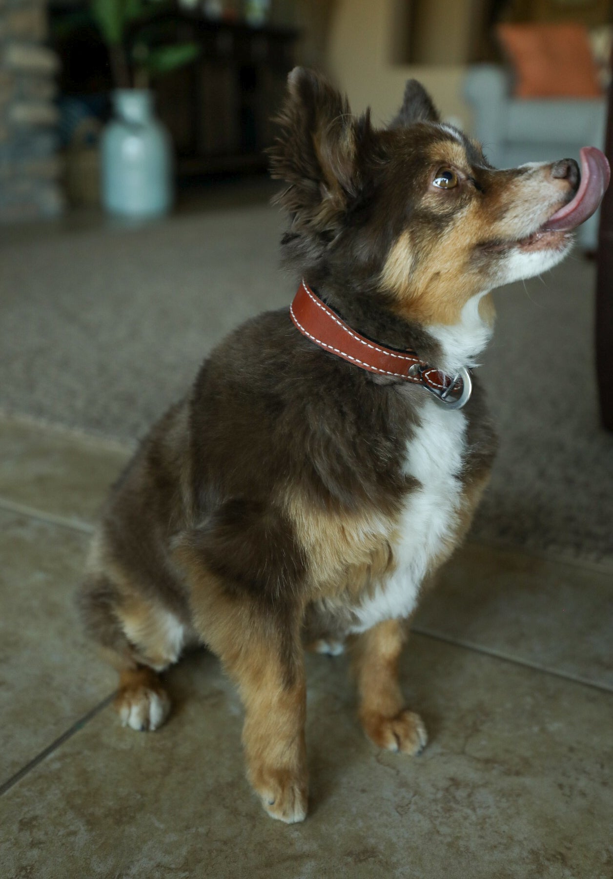 Huck Collar-Accessories-Crooked Horn Company, Online Women's Fashion Boutique in San Tan Valley, Arizona 85140