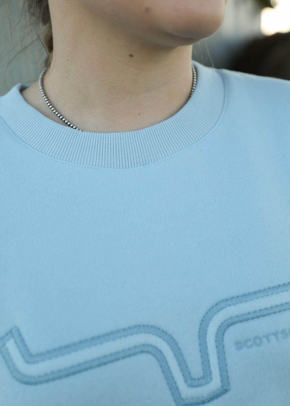Saguaro Patch Sweatshirt-Shirts-Crooked Horn Company, Online Women's Fashion Boutique in San Tan Valley, Arizona 85140